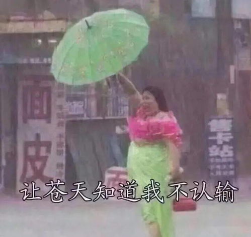 邵东天气预报(邵东天气预报一周天气) 邵东天气预报(邵东天气预报一周天气)