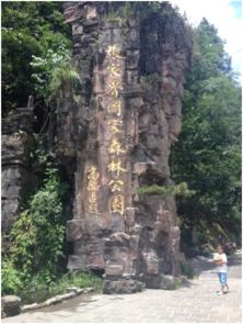 湖南长沙天气（湖南张家界景区天气）