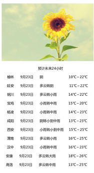 西安天气预报7天（西安天气预报7天查询 15天）