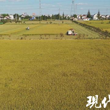 今日天气24小时查询（海安今日天气24小时查询）