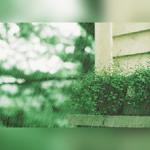 武汉今天大暴雨最新消息(武汉今天大暴雨最新消息数据) 武汉今天大暴雨最新消息(武汉今天大暴雨最新消息数据)