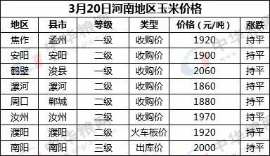 现在玉米多少钱一斤（河南现在玉米多少钱一斤）