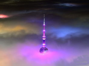 聊城天气预报查询一周(聊城天气预报实时查询) 聊城天气预报查询一周(聊城天气预报实时查询)